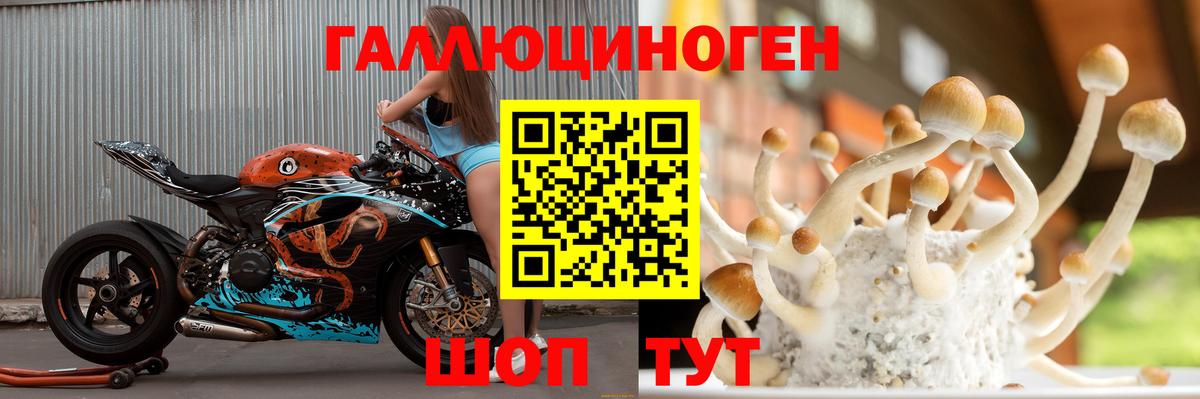 Псилоцибиновые грибы Cubensis  Псилоцибиновые грибы Cubensis  Югорск  Вход с VPN 